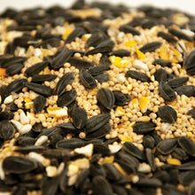 Load image into Gallery viewer, Martha Stewart MTS-PRMBRDSD 5-LB. Premium Bird Seed