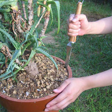 Load image into Gallery viewer, Nisaku Stainless Steel Potted Plants Master, 10-Inch Blade
