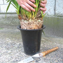 Load image into Gallery viewer, Nisaku Stainless Steel Potted Plants Master, 10-Inch Blade
