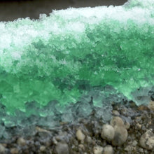 Load image into Gallery viewer, Snow Joe MELT40ECO Eco Clean Ice Melt | 40-Lbs
