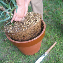 Load image into Gallery viewer, Nisaku Stainless Steel Potted Plants Master, 10-Inch Blade
